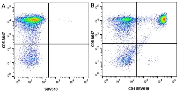 Anti Dog CD5 Antibody, clone YKIX322.3 gallery image 13