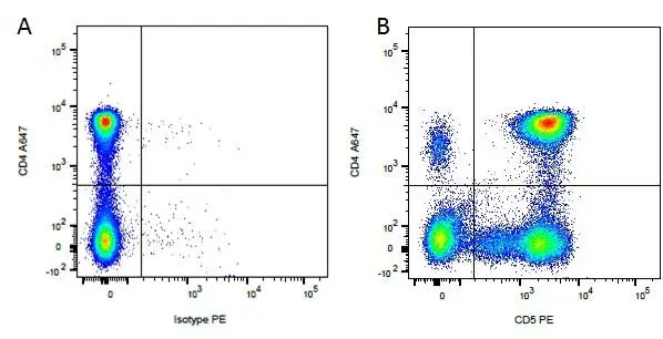 Anti Dog CD5 Antibody, clone YKIX322.3 gallery image 2