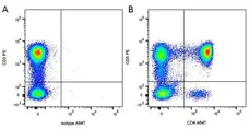 Anti Dog CD5 Antibody, clone YKIX322.3 gallery image 3