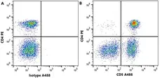 Anti Dog CD5 Antibody, clone YKIX322.3 gallery image 4