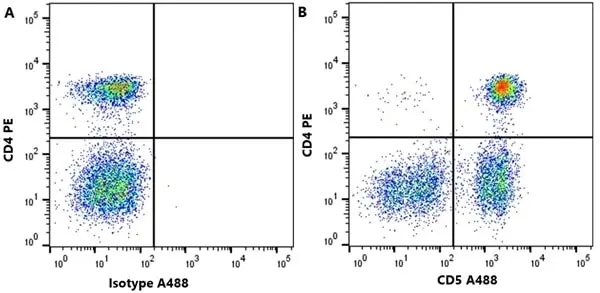 Anti Dog CD5 Antibody, clone YKIX322.3 gallery image 4