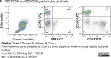 Anti Dog CD5 Antibody, clone YKIX322.3 gallery image 5