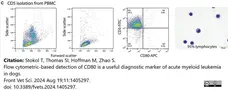 Anti Dog CD5 Antibody, clone YKIX322.3 gallery image 6