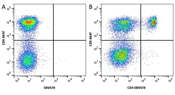 Anti Dog CD5 Antibody, clone YKIX322.3 gallery image 8