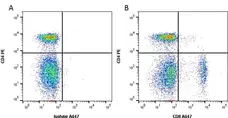 Anti Dog CD8 Antibody, clone YCATE55.9 gallery image 1