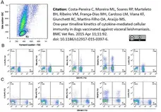 Anti Dog CD8 Antibody, clone YCATE55.9 gallery image 10