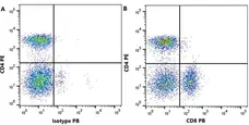 Anti Dog CD8 Antibody, clone YCATE55.9 gallery image 11