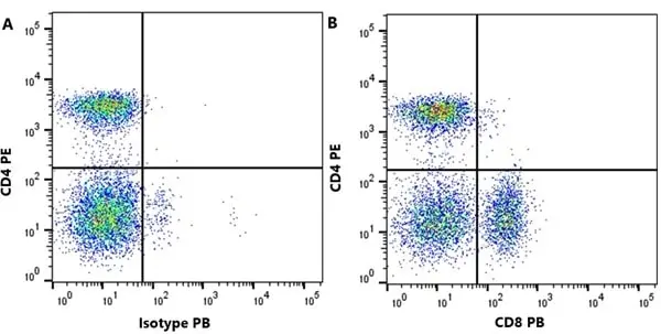 Anti Dog CD8 Antibody, clone YCATE55.9 gallery image 11
