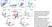 Anti Dog CD8 Antibody, clone YCATE55.9 thumbnail image 14