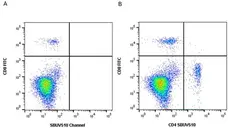 Anti Dog CD8 Antibody, clone YCATE55.9 gallery image 17