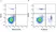Anti Dog CD8 Antibody, clone YCATE55.9 thumbnail image 18