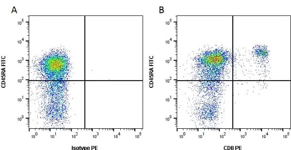 Anti Dog CD8 Antibody, clone YCATE55.9 gallery image 2