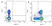 Anti Dog CD8 Antibody, clone YCATE55.9 thumbnail image 4