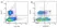 Anti Dog CD8 Antibody, clone YCATE55.9 thumbnail image 6
