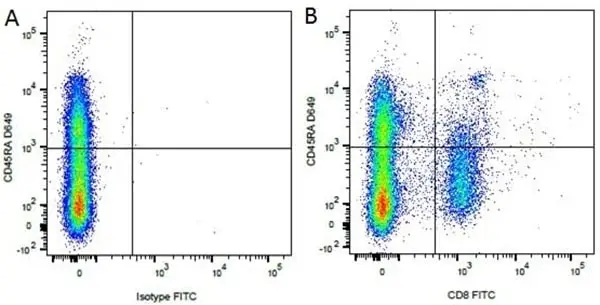 Anti Dog CD8 Antibody, clone YCATE55.9 gallery image 7