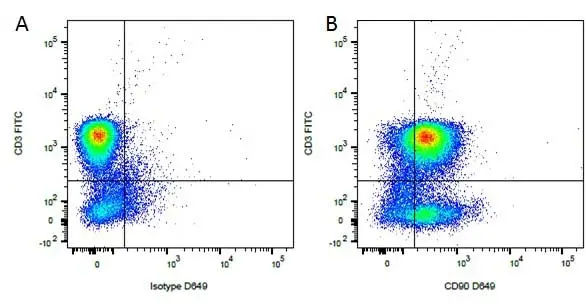 Anti Dog CD90 Antibody, clone YKIX337.217 gallery image 2