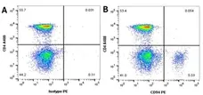 Anti Dog CD94 Antibody, clone 8H10 gallery image 1