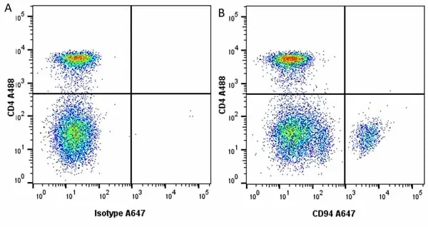Anti Dog CD94 Antibody, clone 8H10 gallery image 3