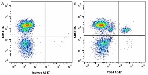 Anti Dog CD94 Antibody, clone 8H10 gallery image 4