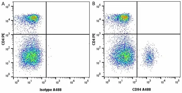 Anti Dog CD94 Antibody, clone 8H10 gallery image 5