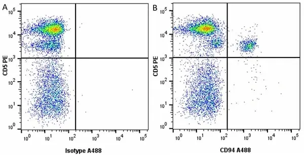 Anti Dog CD94 Antibody, clone 8H10 gallery image 6