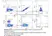 Anti Dog CD94 Antibody, clone 8H10 thumbnail image 8