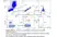 Anti Dog CD94 Antibody, clone 8H10 thumbnail image 9