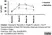 Anti Dog IgA Antibody, clone K117 1A8 thumbnail image 3