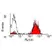 Anti Dog MHC Class II Monomorphic Antibody, clone YKIX334.2 thumbnail image 1