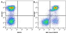 Anti Dog MHC Class II Monomorphic Antibody, clone YKIX334.2 gallery image 10