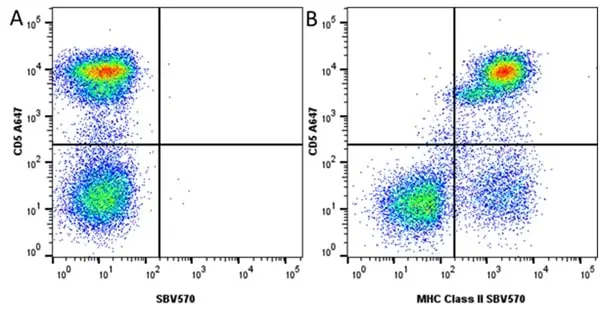Anti Dog MHC Class II Monomorphic Antibody, clone YKIX334.2 gallery image 10