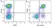 Anti Dog MHC Class II Monomorphic Antibody, clone YKIX334.2 thumbnail image 11