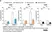 Anti Dog MHC Class II Monomorphic Antibody, clone YKIX334.2 thumbnail image 13