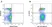 Anti Dog MHC Class II Monomorphic Antibody, clone YKIX334.2 thumbnail image 14