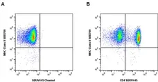 Anti Dog MHC Class II Monomorphic Antibody, clone YKIX334.2 gallery image 15