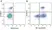 Anti Dog MHC Class II Monomorphic Antibody, clone YKIX334.2 thumbnail image 16