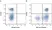 Anti Dog MHC Class II Monomorphic Antibody, clone YKIX334.2 thumbnail image 17
