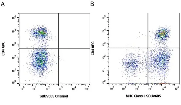 Anti Dog MHC Class II Monomorphic Antibody, clone YKIX334.2 gallery image 17