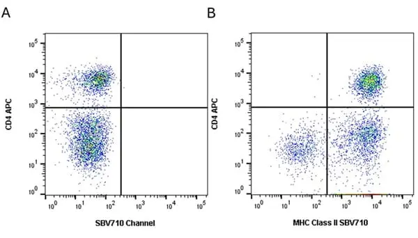 Anti Dog MHC Class II Monomorphic Antibody, clone YKIX334.2 gallery image 18