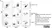 Anti Dog MHC Class II Monomorphic Antibody, clone YKIX334.2 thumbnail image 4