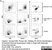 Anti Dog MHC Class II Monomorphic Antibody, clone YKIX334.2 thumbnail image 5