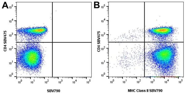 Anti Dog MHC Class II Monomorphic Antibody, clone YKIX334.2 gallery image 6