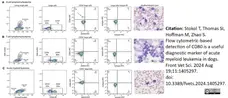 Anti Dog MHC Class II Monomorphic Antibody, clone YKIX334.2 gallery image 7