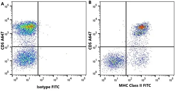 Anti Dog MHC Class II Monomorphic Antibody, clone YKIX334.2 gallery image 9