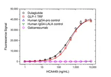 Anti Dulaglutide Antibody, clone AbD64818ia gallery image 2