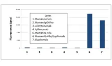 Anti Dupilumab Antibody, clone AbD48333ad gallery image 1