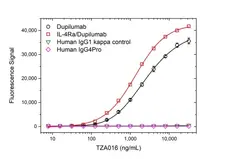 Anti Dupilumab Antibody, clone AbD48333ad gallery image 2