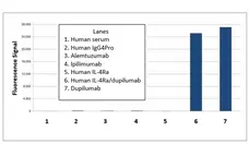 Anti Dupilumab Antibody, clone AbD48542 gallery image 1