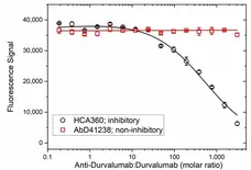 Anti Durvalumab Antibody, clone AbD41313ia gallery image 3