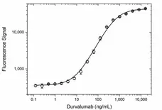 Anti Durvalumab Antibody, clone AbD41327 gallery image 4